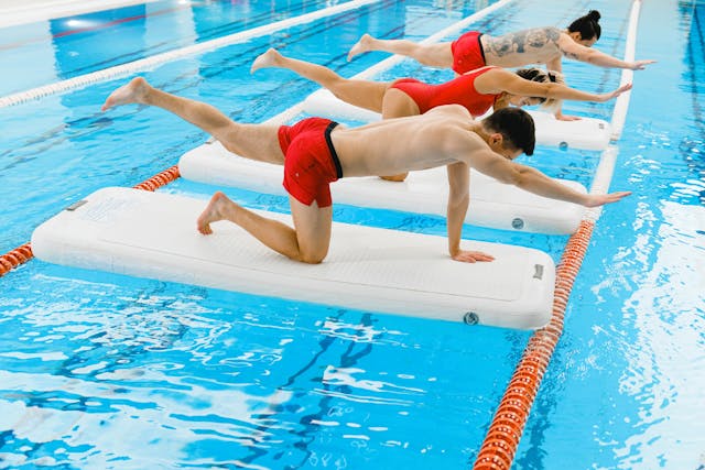 Bernasttria transformacja